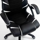 black_05_46a4dd6bb4.jpg